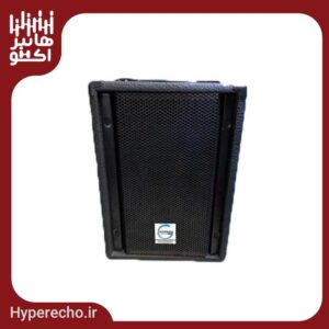 اکو همراه بیسیم قهرمان مدل G95 + میکروفن