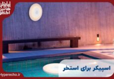 اسپیکر برای استخر