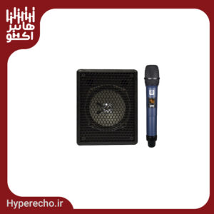 اكو همراه 5 اينچ مينی بيسيم باميكروفن تكنوآوا TECHNOAVA TS60PTUR6