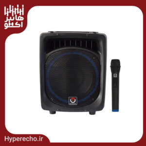 اكو همراه 12 اينچ بيسيم باميكروفن 022 تكنوآوا TECHNOAVA TS12400FPTUR6