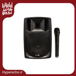 اكو همراه 12 اينچ بيسيم باميكروفن 026 تكنوآوا TECHNOAVA 12PTR4PBTUR