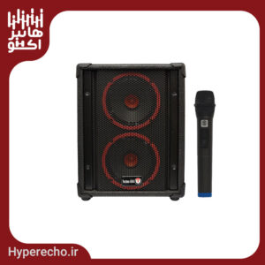 اكو همراه 6×2 اينچ بيسيم باميكروفن تكنوآوا TECHNOAVA TS260PTUR6
