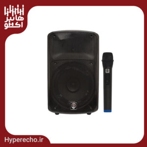 اکو همراه 12 اینچ بامیکروفون زیکو ZICO 12800 PBUR