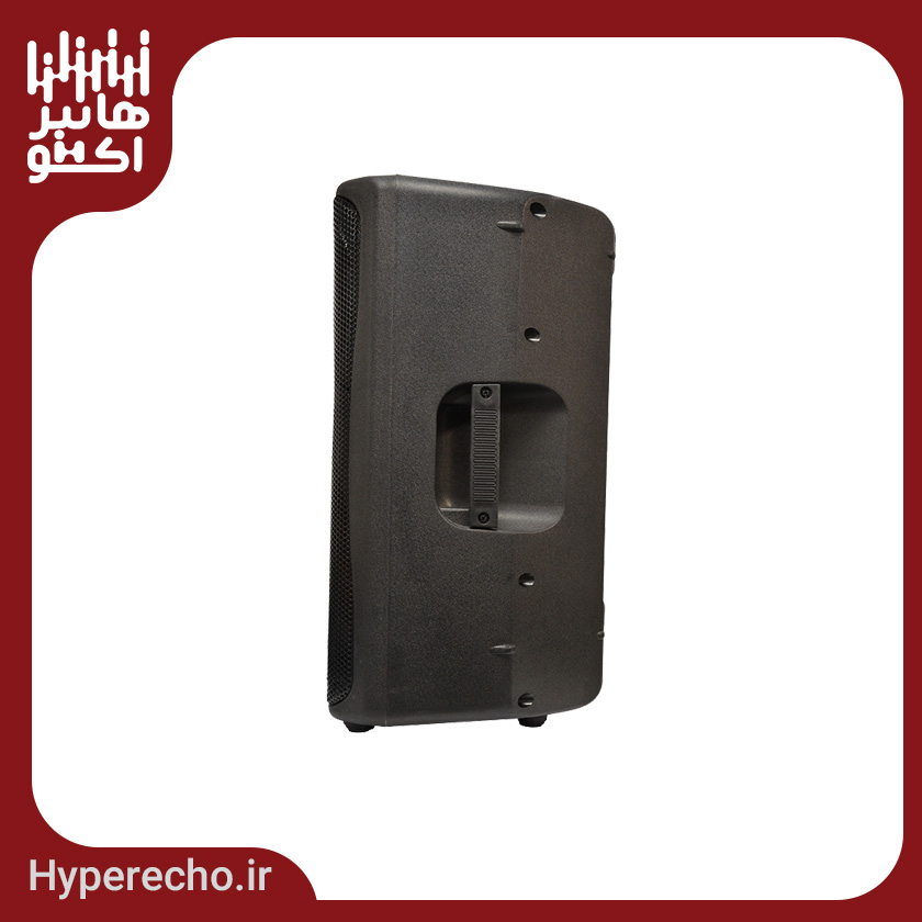 echohamrah-12inch-12800-with-microphone (4) اکو همراه 12 اینچ زیکو ZICO 12800 PBUR